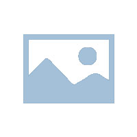 找律师和看医生